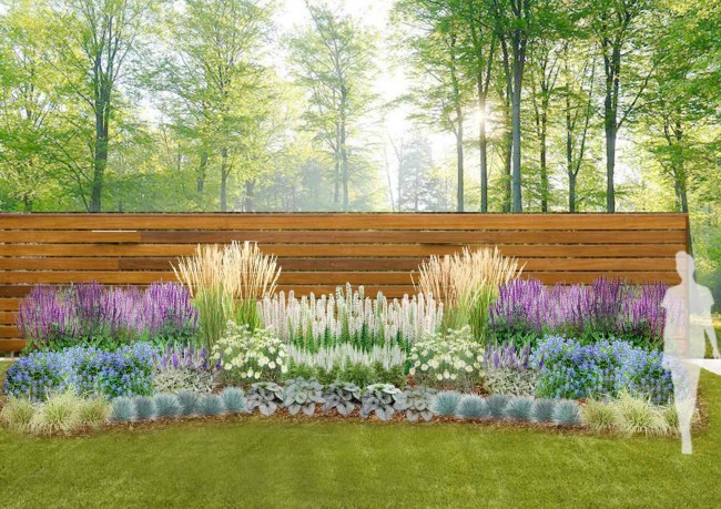 Gotowy projekt ogrodu "Rabata błękitno-biała". Zestaw (Projekt + 58 sadzonek)